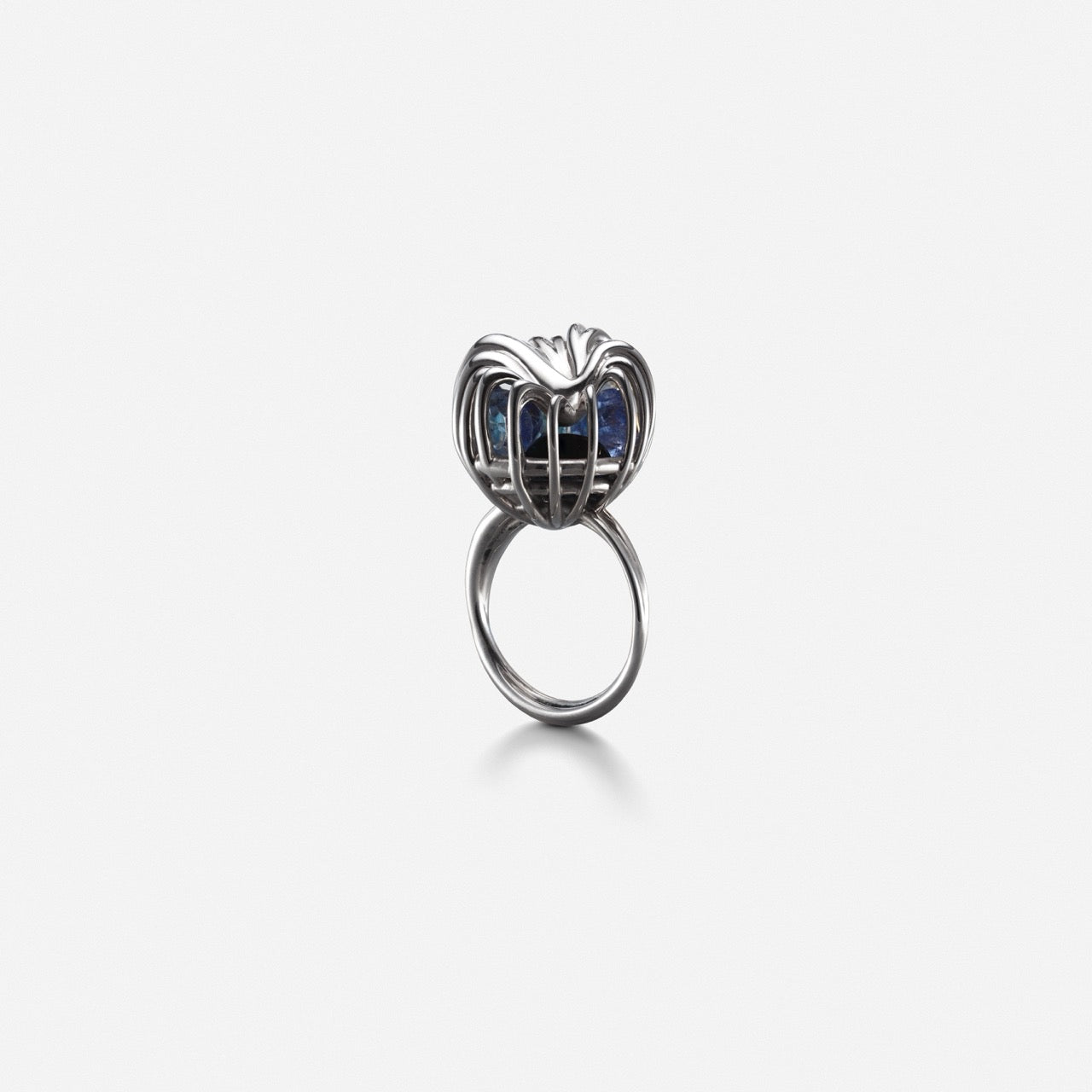 Rattled Distorted Ring