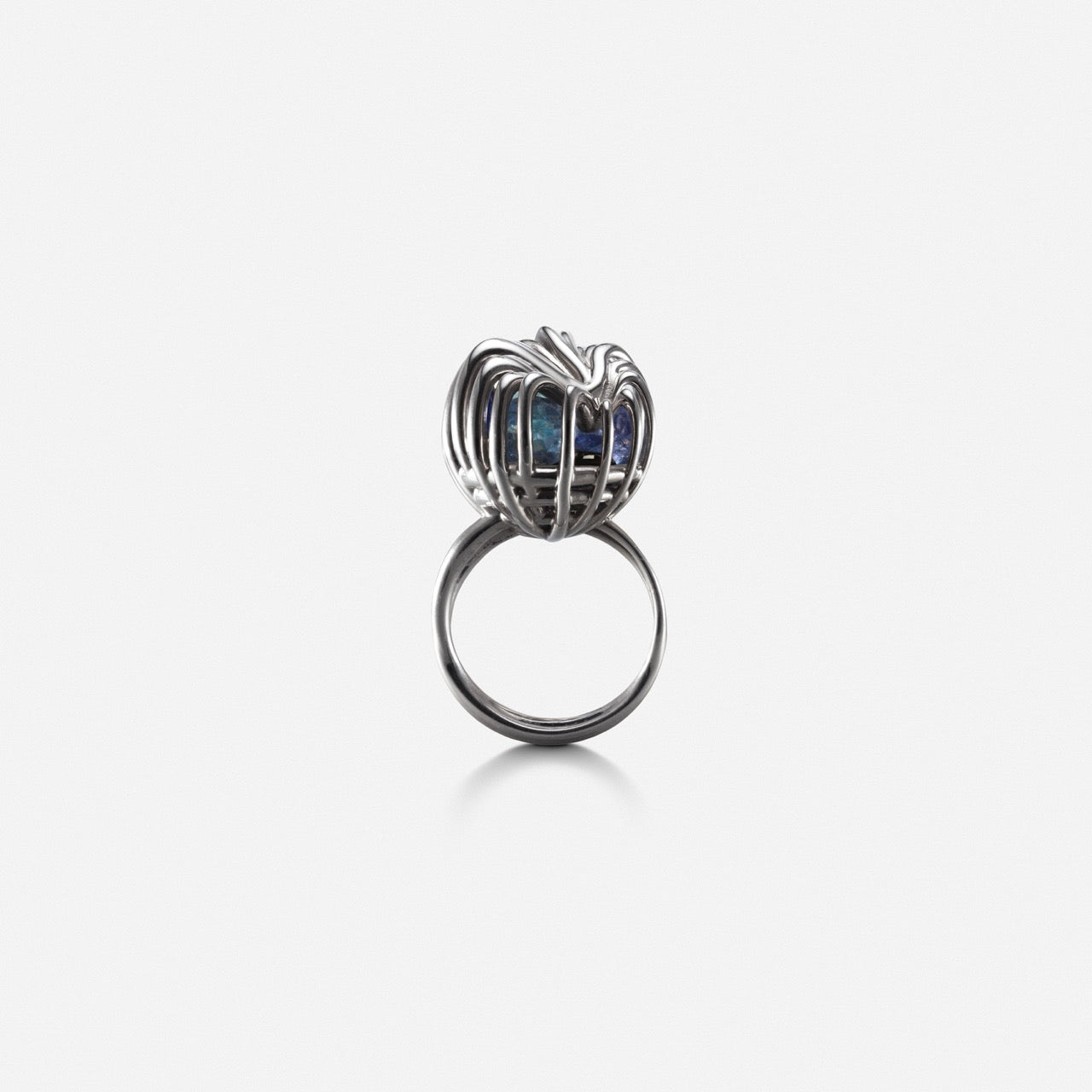 Rattled Distorted Ring