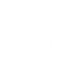 sara-jacobson